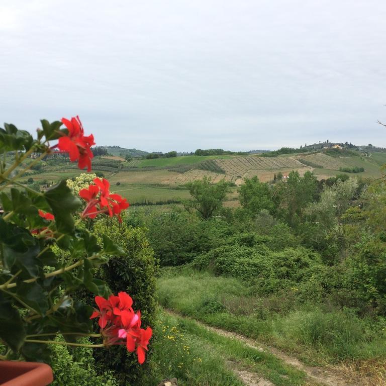 Apartmán Casina Rosa Certaldo Pokoj fotografie